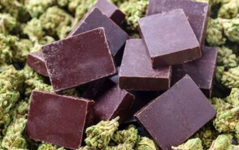 Chocolate with marijuana – the perfect combination?